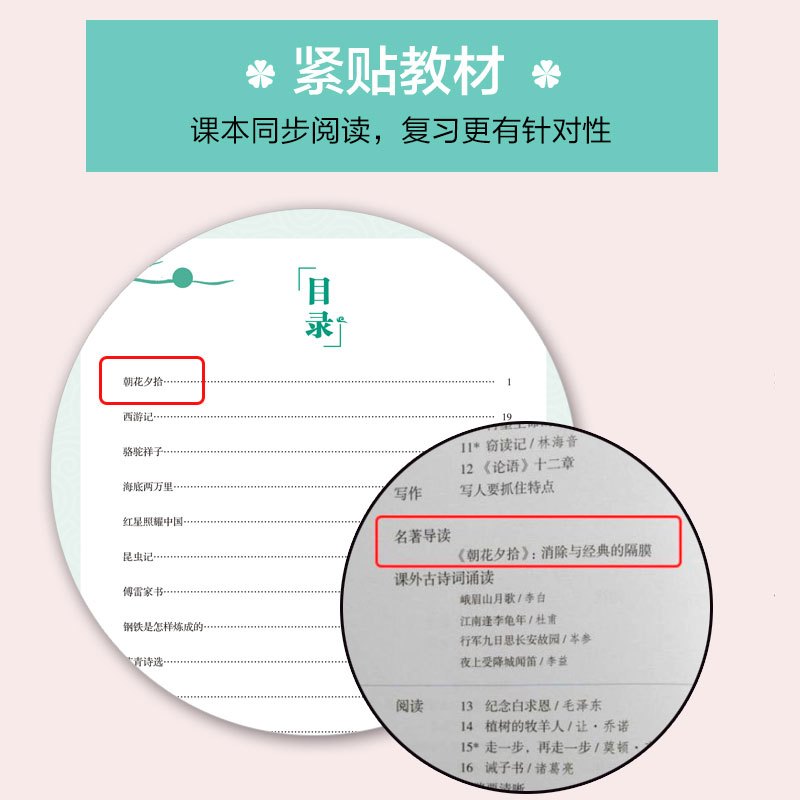 必读12部名著精讲 初中通用 [正版]初中必读12部名著精讲初中生课外书籍名著全套十二本名著导读考点精炼七八九年级语文中