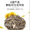 洽洽香瓜子160g