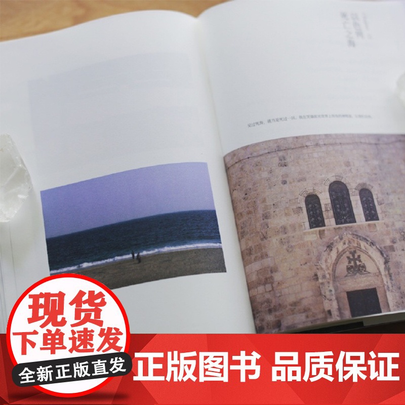 分开旅行(精装版)正版书籍陶立夏代表作 全新精装典藏版 随书附赠精美明信片 一场别离,一段唯美清新的情感愈疗之旅高清大图