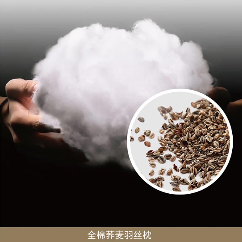 芳恩家纺FAUNEN 全棉荞麦羽丝枕48×74cm FN-R7012高清大图