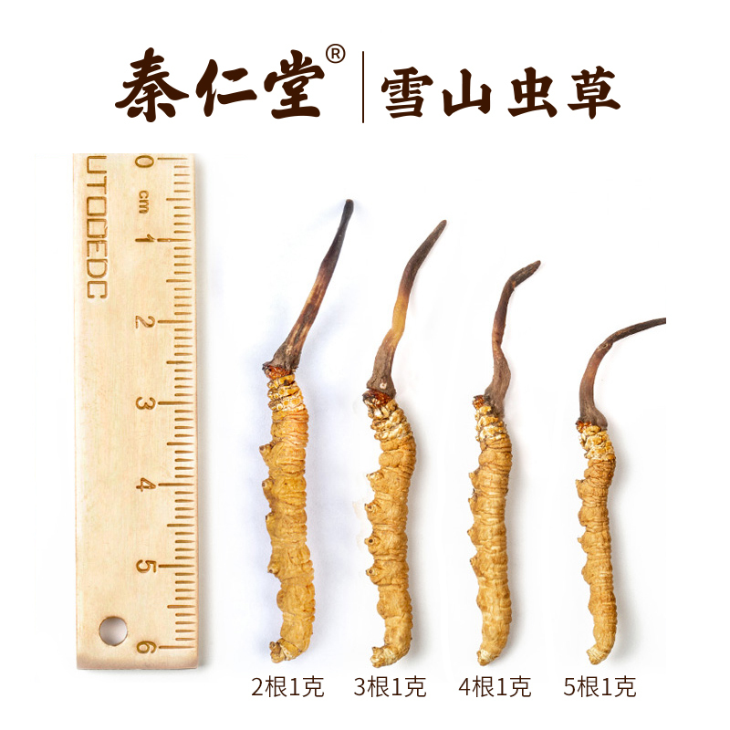 秦仁堂冬虫夏草2根/克10根 冬虫草正品干货 5克礼盒装