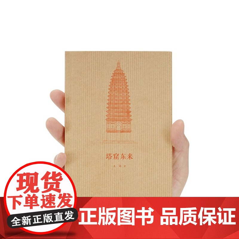 [央视网]读小库王南建筑史诗系列 塔窟东来 王南 著 中国古代工匠如何翻译引进天竺建筑 印度建筑史塔与石窟资料艺术书籍D高清大图