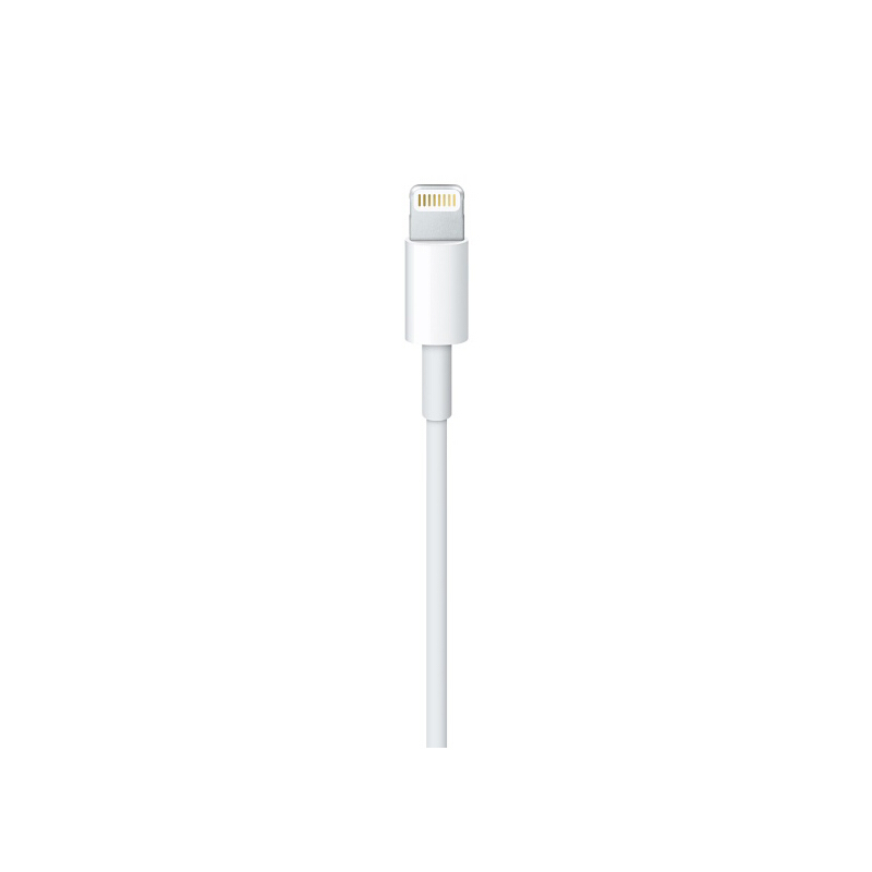 Apple 苹果原装数据线正品手机充电线/充电器 适用于iPhone6/7/8/XS/XR Lightning数据线1米