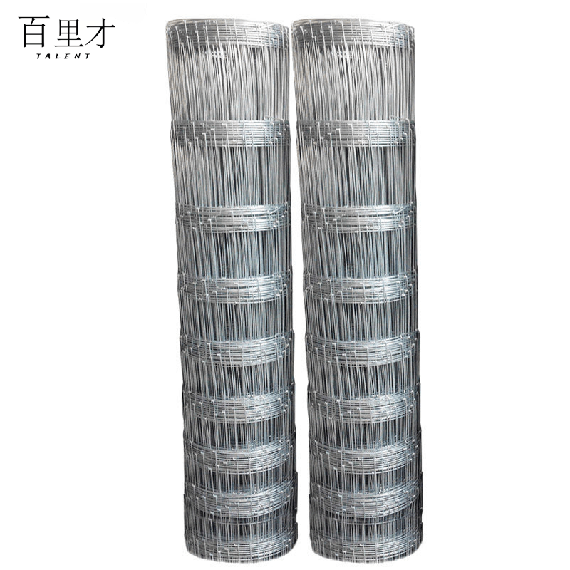 百里才 防护网镀锌铁丝网栅栏防锈草原养殖网 网丝2.2mm*网格10cm*10cm*宽1.5m 平方米图片