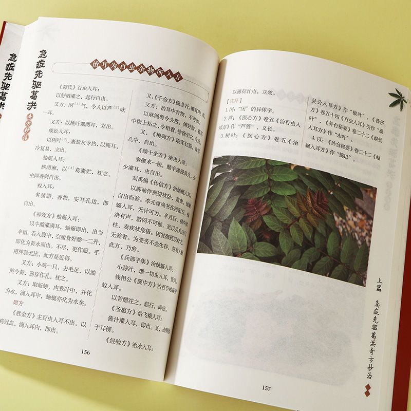 肘后备急方 [正版]肘后备急方白话文全书急症先驱葛洪奇方妙治古代急救方剂书中国临床急救手册经典著作中医入门初学书籍大全葛