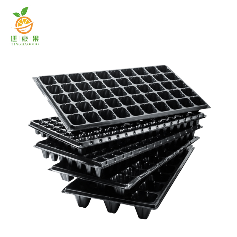 廷豪果 育苗盘 54cm*28cm 200片/箱高清大图