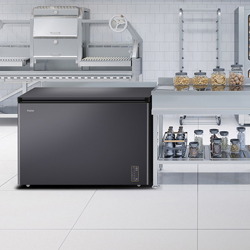 海尔(Haier) BC/BD-300WGHEC高清大图