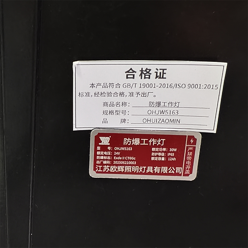 OHUIZAOMIN 防爆工作灯 OHJW5163 个高清大图