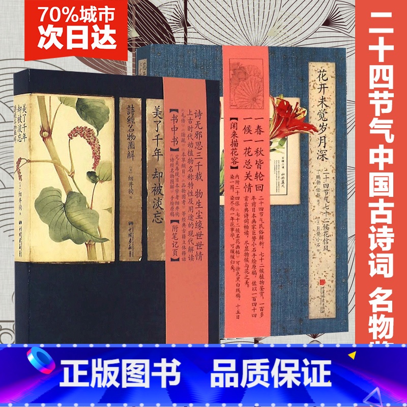 【正版】花开未觉岁月深+美了千年却被淡忘(共2册)二十四节气民俗解析,七十二候植物鉴赏,