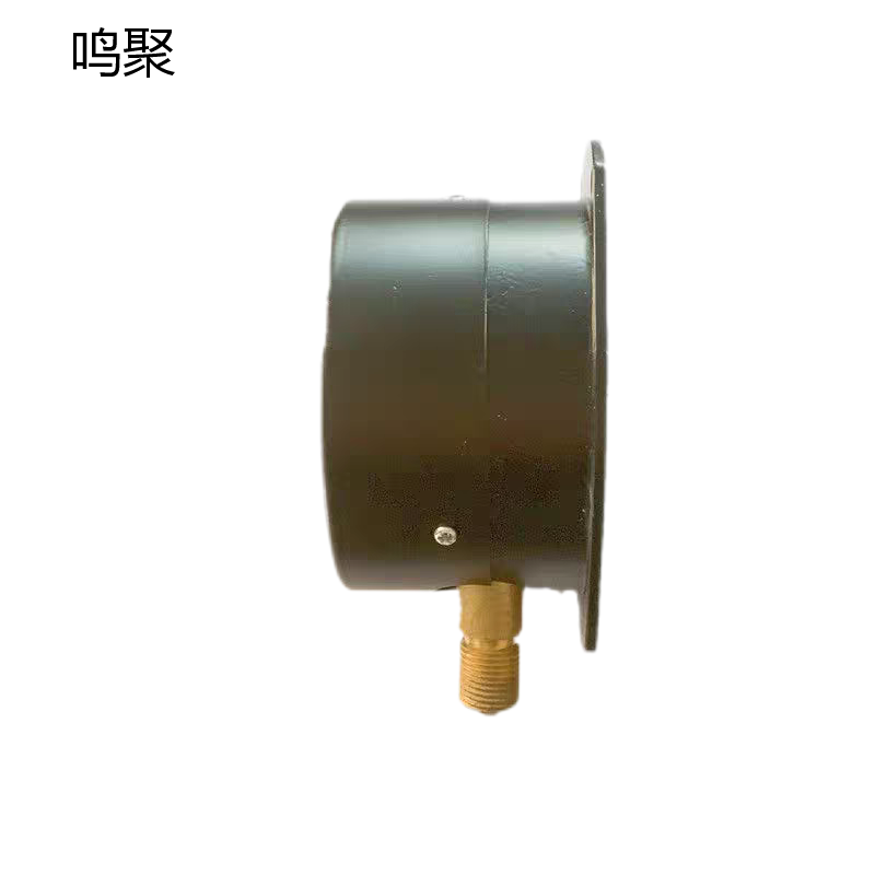 鸣聚 压力表 YZS 个高清大图