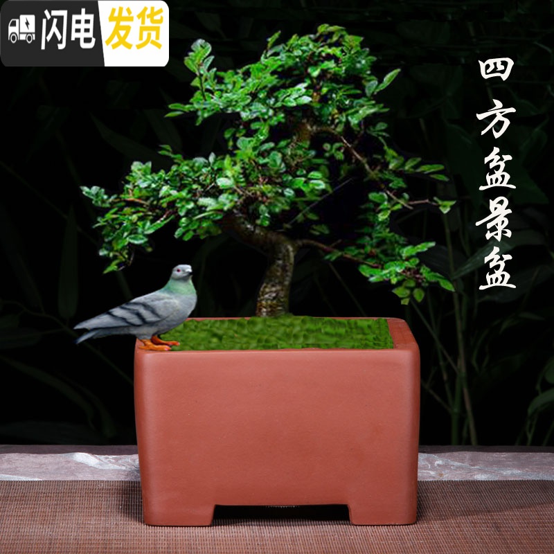 三维工匠紫砂花盆四方盆景盆栽花卉室内陶瓷盆八角梅花榕树盆景专用盆大号 抽角六方小号 尺寸如图,关注店铺优先发货花盆容器高清大图