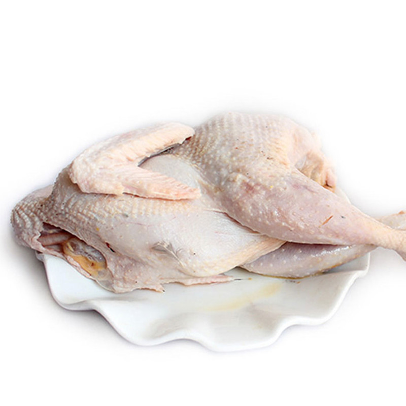 春节正常发草公鸡1只整鸡约125kg退毛留内脏新鲜鸡肉ci