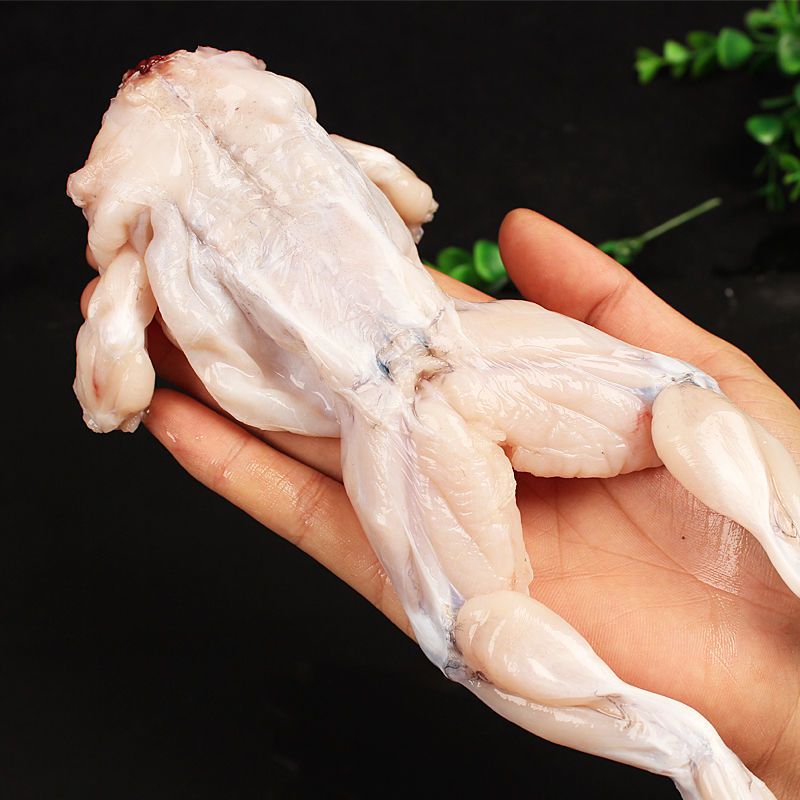 顺丰新鲜牛蛙肉田鸡肉冷冻去皮去头去脚趾去内脏14斤牛蛙1斤试吃装量