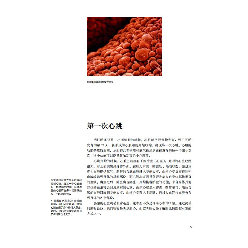 醉染图书孕育——镜头下的40周 原书第6版9787110104972高清大图