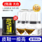 皮鞋油黑色真皮保养油无色鞋油刷鞋蜡高级护理剂擦鞋通用神器