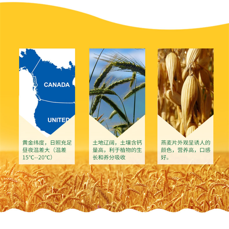世荣润 加拿大进口煮食燕麦片1kg/包*2 健康营养早餐代餐 全谷物燕麦膳食纤维 煮食燕麦燕麦粥 两包价