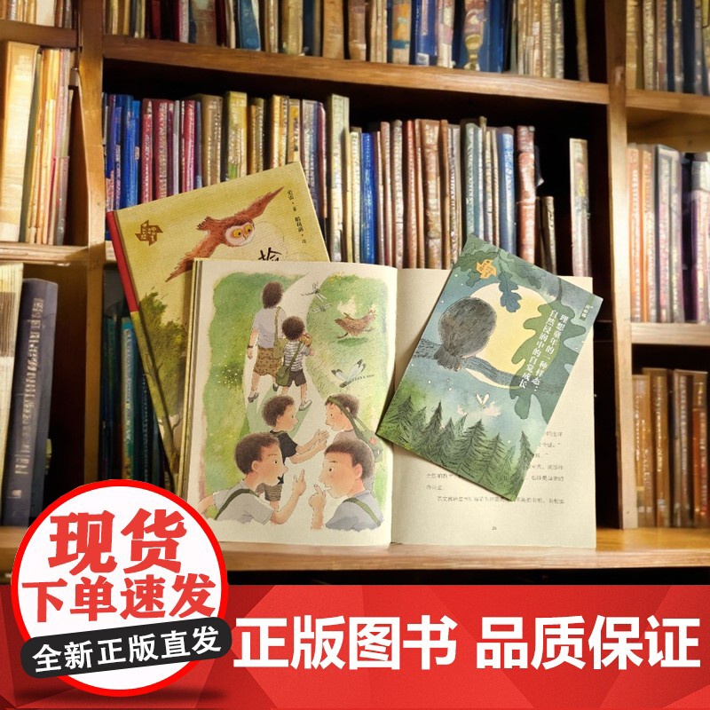 捡到一只猫头鹰精装 中国童年故事绘 儿童游戏故事书 童年 儿童成长课外阅读故事书高清大图