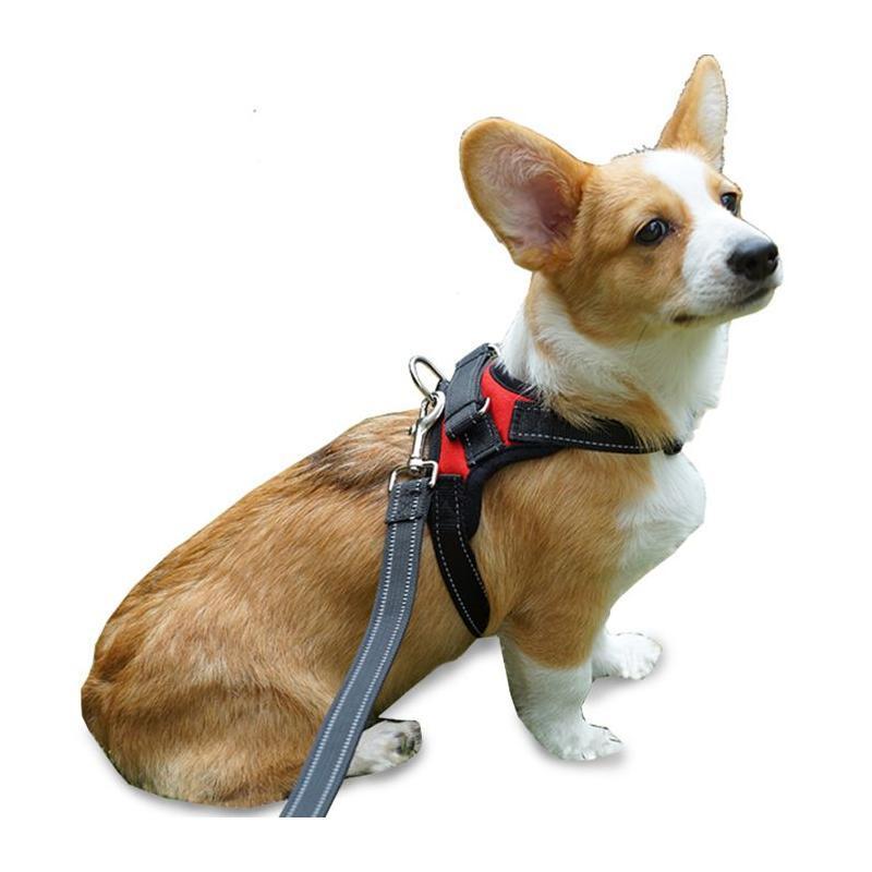 狗绳狗狗胸背带加牵引装宠物狗链子中大型犬狗绳金毛项圈防爆冲背带