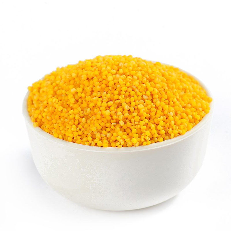 翰九 沁黄小米 2.5kg 全新沁黄小米 月子小米 五谷杂粮 粗粮 杂粮 粮油 粥伴侣 国产食品 真空包装