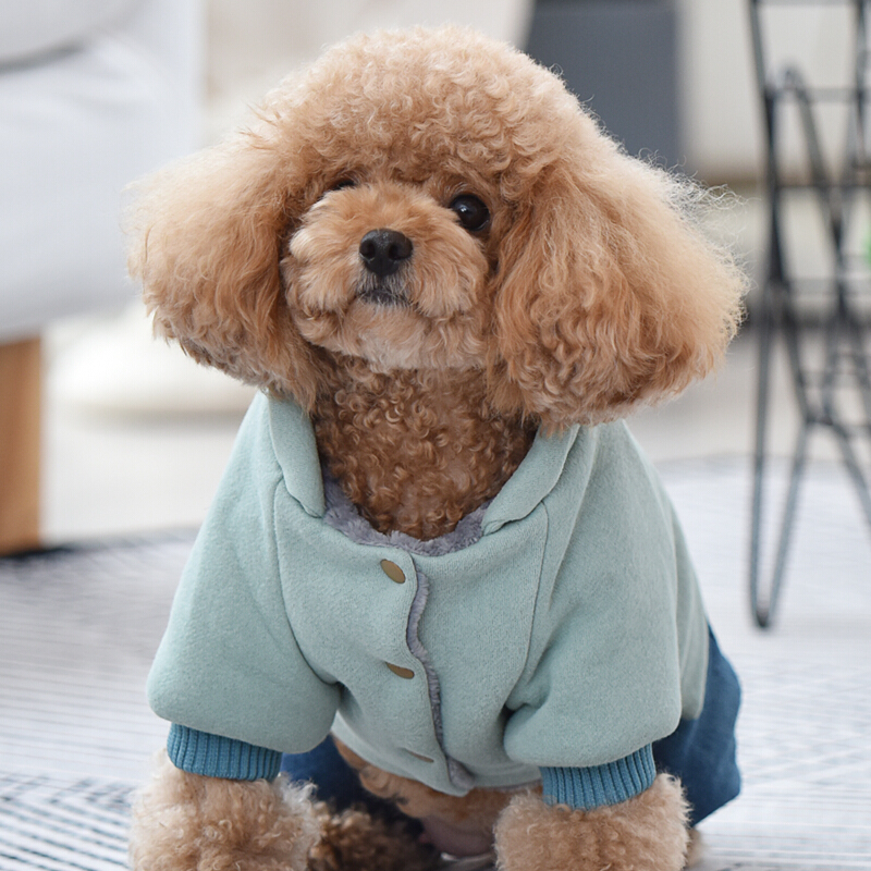 秋冬保暖宠物四脚装狗狗衣服加厚服饰泰迪棉衣牛仔服装比熊雪纳瑞