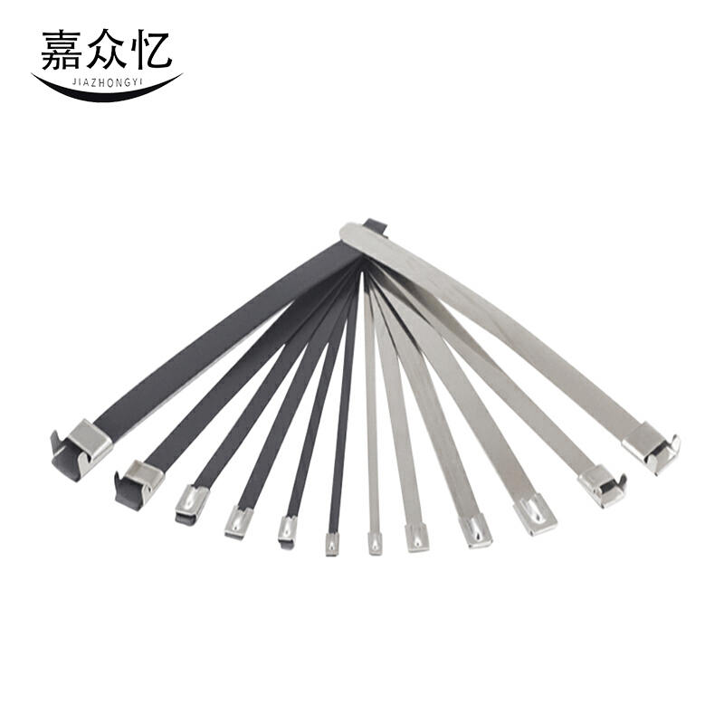 嘉众忆 不锈钢扎带(201) 4.6*800mm JZY-468 根图片