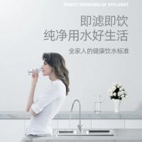 德国德克西Q1-1 超滤净水器家用直饮自来水龙头前置过滤器厨房不锈钢净水机(两年滤芯,免费安装)