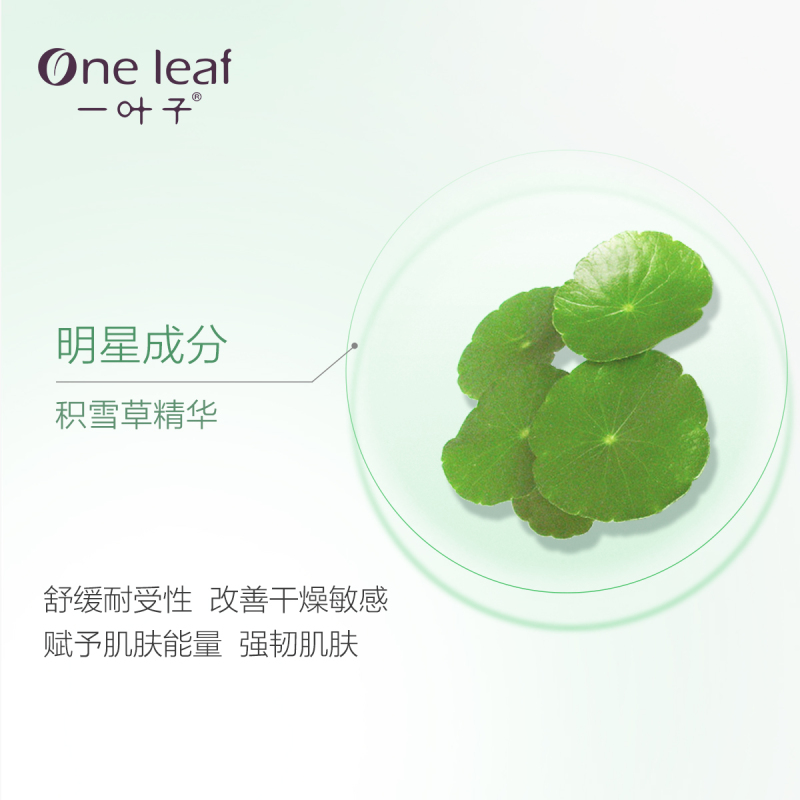 一叶子积雪草舒缓修护精华乳液补水保湿护肤女舒缓修复维稳肌肤男女通用 100ml