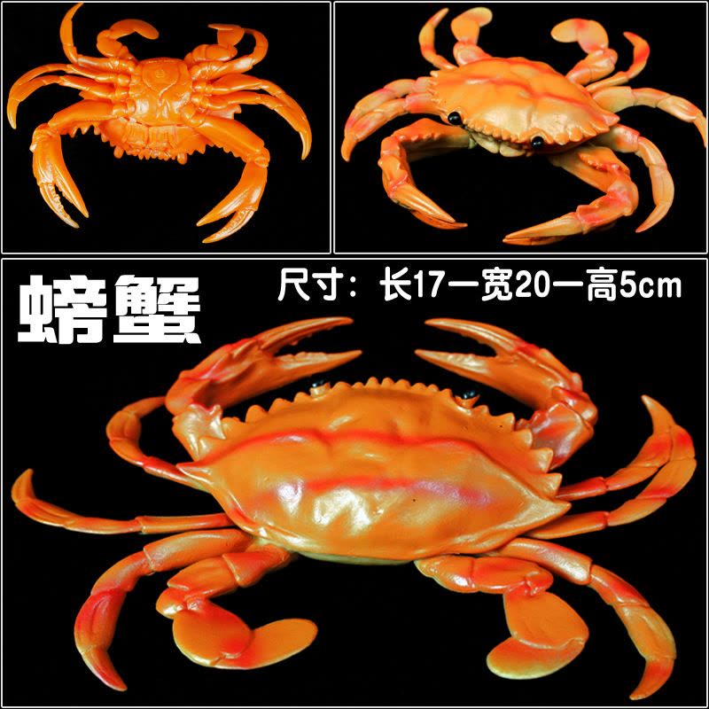 大号BB哨软胶仿真龙虾螃蟹模型玩具塑胶静态海洋动物儿童认知益智图片