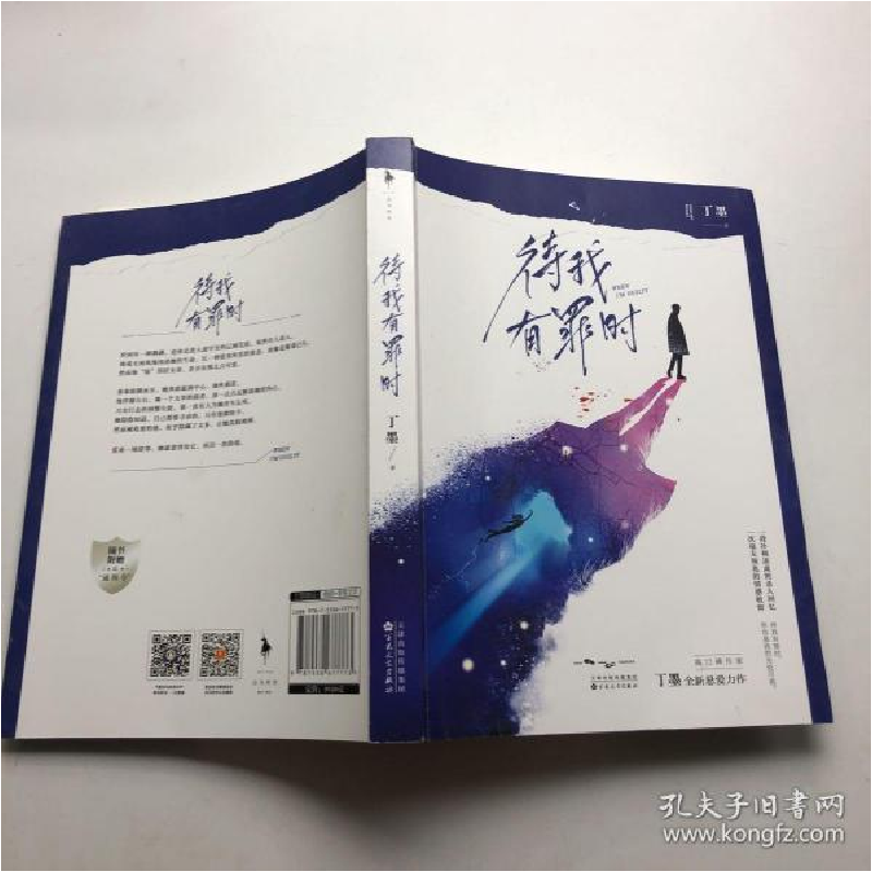 正版新书】待我有罪时丁墨9787530677773