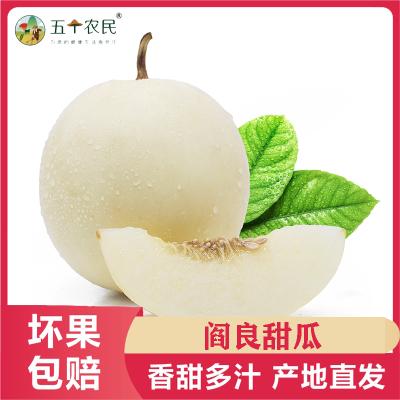 [五个农民]陕西阎良甜瓜3斤新鲜水果香瓜