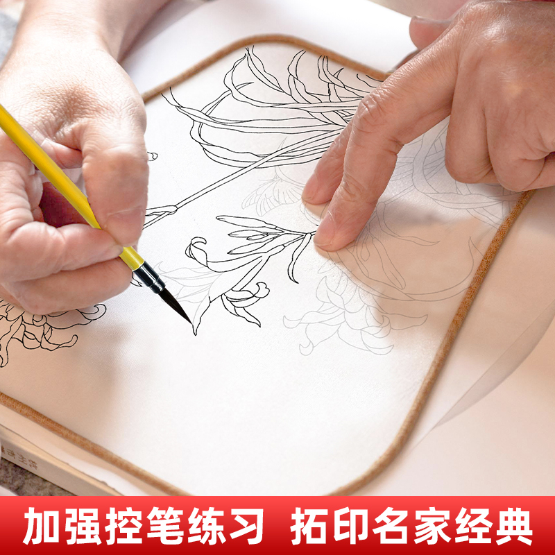 宋清花鸟高清彩图-60幅 [正版]中国画白描描摹本 工笔画白描底稿临摹画册 山水花鸟国画白描线稿 勾线笔控笔 描红拓印高清大图
