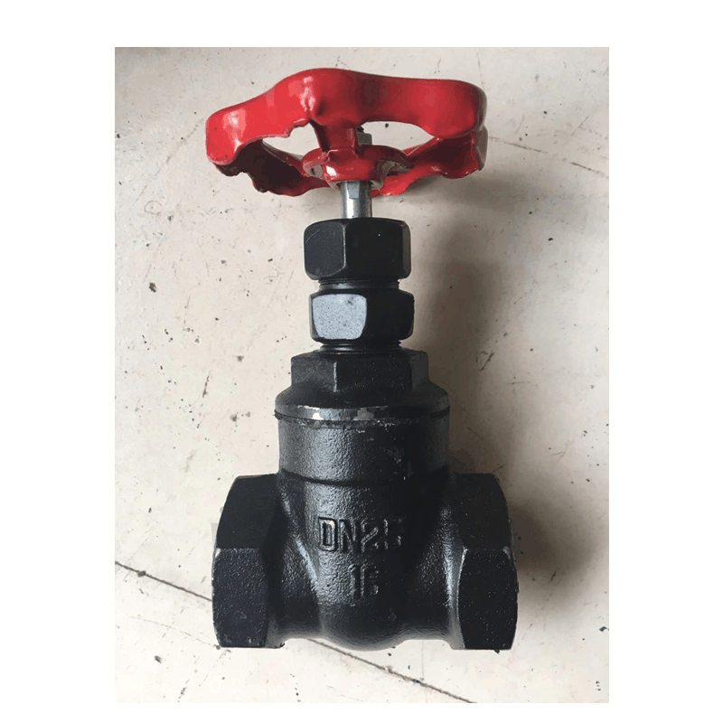 百里才 铸铁闸阀DN15 个图片