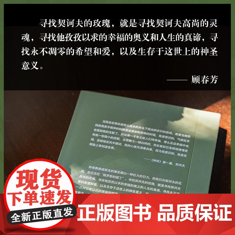契诃夫的玫瑰 顾春芳 著 人物/传记其它文学 正版图书籍 译林出版社高清大图