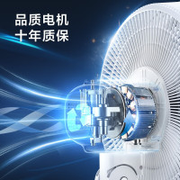 美的(Midea)电风扇风扇落地扇家用台立两用轻音电扇台扇小风扇办公室电风扇 7叶SAF30AC 珍珠白