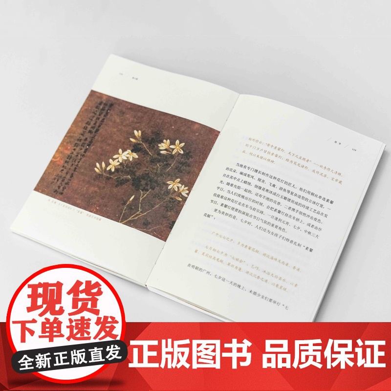 美人图 孟晖著 央视《读书》节目 国风 传统美学 中国传统文化 动脉影 古典女性 文物 艺术摄影 中信出版社图书高清大图