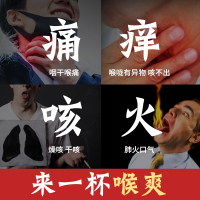 塔木金胖大海金银花菊花咽喉橘红栀子茶罗汉果枸杞茶蒲公英根泡水