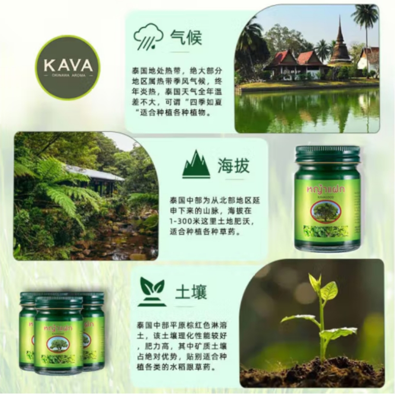 卡瓦库德泰国进口青草膏15g*3薄荷膏宝宝舒缓膏薄荷清凉草本15g*3高清大图