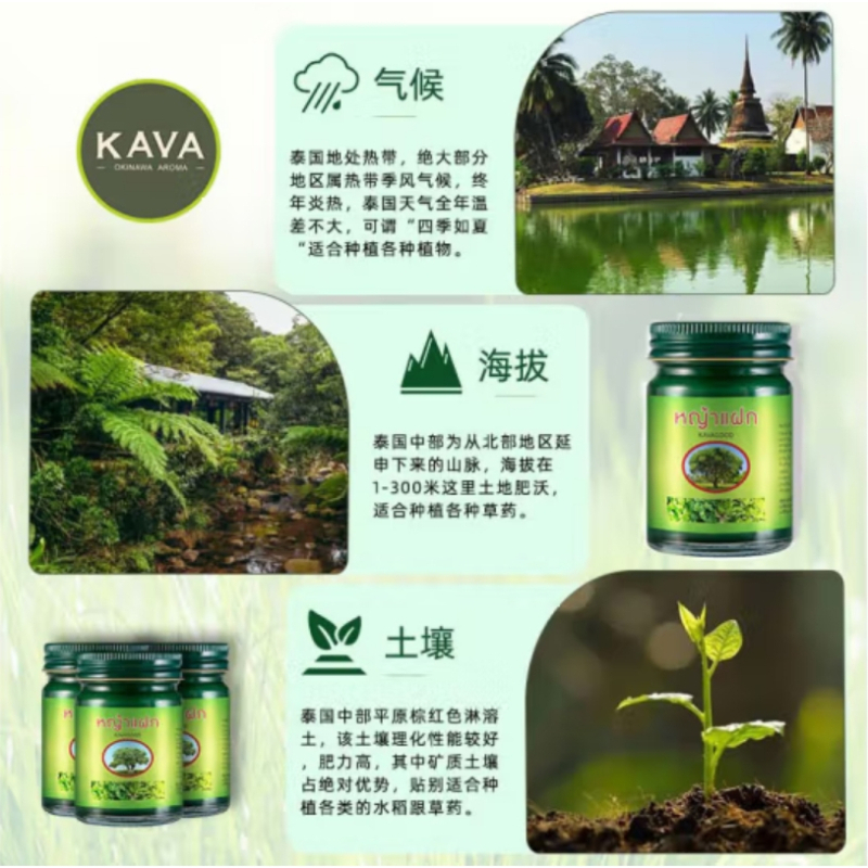 卡瓦库德泰国进口青草膏15g*3薄荷膏宝宝舒缓膏薄荷清凉草本15g*3