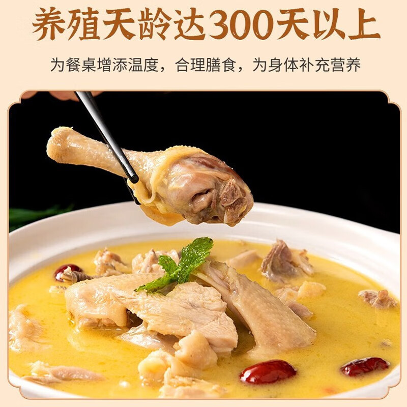 汪集汤嫂鸡汤速食大罐土鸡汤武汉特产加热即食鸡汤罐头礼盒装鸡汤