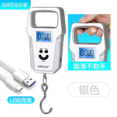 *推荐:USB充电款银色(加大加厚) 手提秤电子秤商用迷你称重电子厨房50kg便携式快递吊钩称小弹簧称