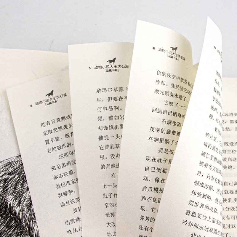 红飘带狮王 [正版]沈石溪动物小说品藏书系列全集36册狼王梦斑羚飞渡后一头战象雪豹悲歌混血豺王第七条猎狗十大经典阅读必书