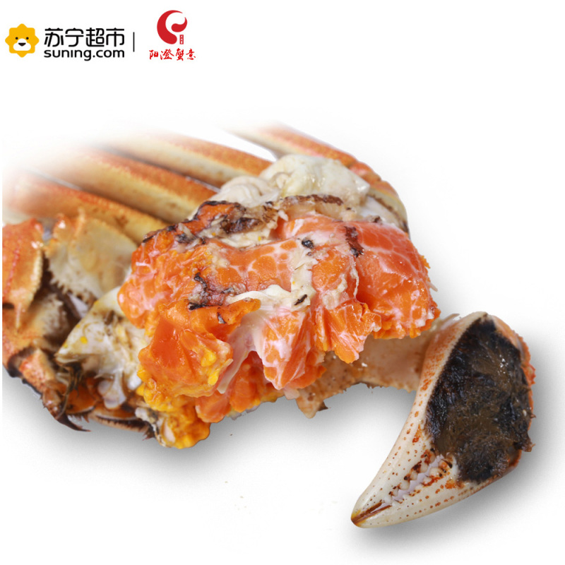 阳澄湖阳澄蟹意牌大闸蟹礼券 大闸蟹券 1399型 公:3.0两 母:2.0两 5对装 螃蟹券