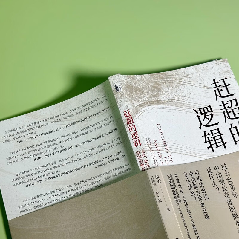[正版]赶超的逻辑 文化 制度与中国的崛起 朱天 著 颠覆流行性解释 从文化角度揭示中国经济增长的底层逻辑 关于中国经济高清大图