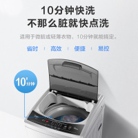 美的（Midea）洗衣机7.2KG公斤大容量 家用全自动洗衣机波轮洗衣机 MB72V31 官方旗舰正品