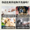 宠物狗狗洗澡刷猫咪洗澡专用刷子硅胶按摩刷清洁工具给狗搓澡用品