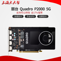 丽台Quadro P2000 5GB 专业图形平面设计 3D建模渲染 工作站显卡