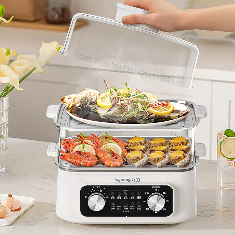 九阳16L电蒸锅DZ150HG-GZ616