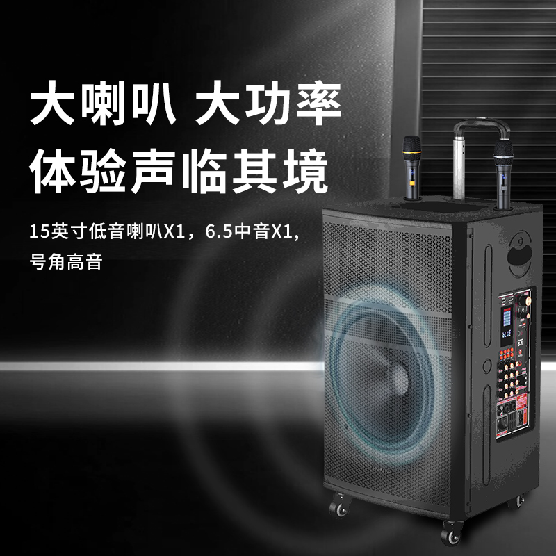 润普Runpu会议扩声拉杆音箱三分频15英寸低音卡拉OK户外直播带手持话筒拉杆音箱RP-EX80高清大图