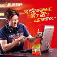 东鹏特饮 维生素功能饮料 250ML*24盒/箱