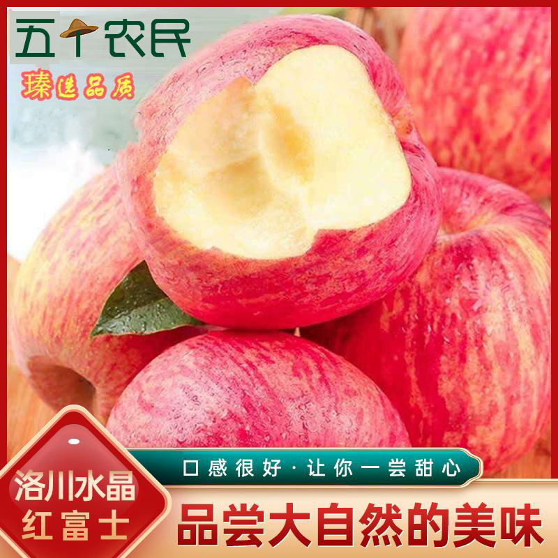 [五个农民]22年新果 正宗陕西洛川苹果红富士9枚装 单果85mm+/250g+ 超大果当季新鲜水果 顺丰速运高清大图
